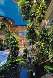 The Dreamscape Garden at Changi T2 airport, Singapore, Plant species selection and design by Patrick Blanc