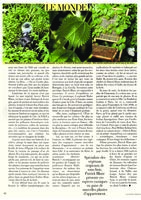 Vogue Janvier 1999, Vertical Garden by Patrick Blanc