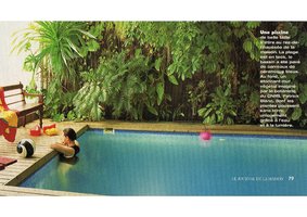 Journal de la Maison, Juin 1999, Vertical Garden by Patrick Blanc