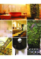 Optimum , Novembre 2001, Vertical Garden by Patrick Blanc