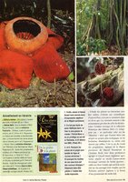 Mon Jardin et ma Maison Oct. 2002, Vertical Garden by Patrick Blanc