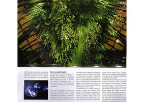 Archicree, Dec. 2006, Vertical Garden by Patrick Blanc