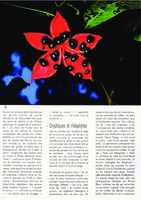 Contemporain(s) Mars 2007, Vertical Garden by Patrick Blanc