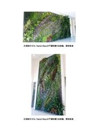 www.m.appledaily.com.tw 27 oct 2016, Vertical Garden by Patrick Blanc