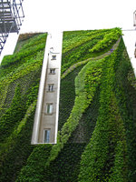 Vertical Garden by Patrick Blanc, Rue Alsace, Paris, May 2008