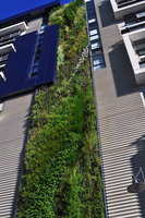 Trio, Sydney, ensemble, mars 2010