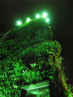 Athenaeum contre plongee de nuit mai 2010