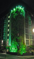 Athenaeum vu de Green Park mai 2010