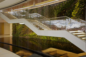 Mur Vegetal et escalier S C Johnson  Racine