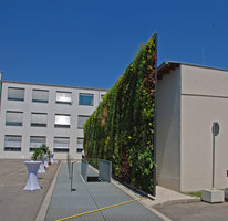 Fronius, Lame Vegetale de profil, Wels, Autriche, Juillet 2010