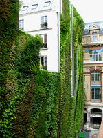 Rue Alsace, Paris,  Aout 2008