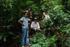 Rosario Rubite, Mark Hughes, Pascal Héni et Patrick Blanc dans l&#039;habitat de Begonia blancii, Palawan, mai 2011