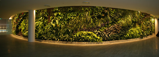 Qantas lounge, Sydney