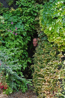 Patrick sort de la grotte, Spirale Chaumont fin été 09