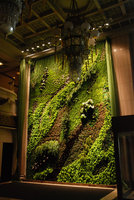 Wild Dance, National Theatre, Taipeh