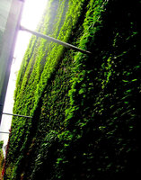 Vienna  Praterstrasse, contre-plongée, sept 2010