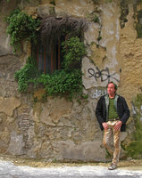 Patrick Blanc et Parietaria judaica sur vieux mur, Marseille, février 2010