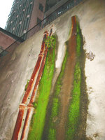Algae and mosses on an old dripping concrete façade, Hong Kong
