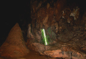 Algae, mosses and ferns around the fluoresent lamp in a cave, Sarawak, Borneo