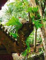 Platycerium wallichii on a ceramic dragon head, Doi Chiang Dao cave, Thailand
