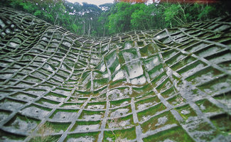 Stabilizing concrete grid covered in mosses along a roadside, Kyushu, Japan