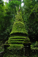 Stupa covered in mosses and Selaginella, Chanthaburi, Thailand