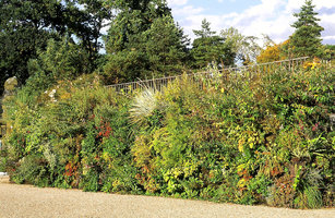 Parc Floral de Paris, détail