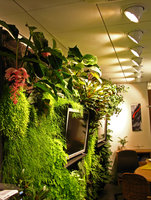 Agence de voyage Sales Lentz, Luxembourg, Mai 2008