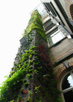 Parlement Bruxelles, Cheminée