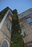 Cheminée Parlement de Bruxelles, décembre 2007