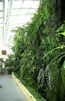 Serre du jardin botanique de Toulouse