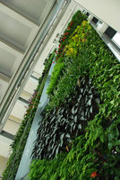 Green Office, Meudon, ensemble en contre-plongée