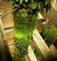 Car Parking Eiffage, Ternes, Paris