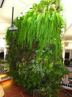 M. et F. Girbaud New York Juin 07