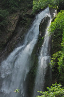 Plants on rocks behind waterfall, Si Phangnga NP, Thailand