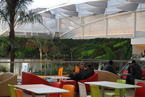 Mur Végétal vu d&#039;un café, Dolce Vita, Lisbonne