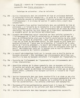 Thèse 3ème Cycle Patrick Blanc