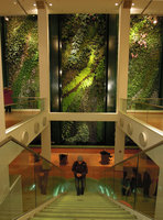 Escalier d&#039;accès au Mur végétal,  Düssmann KulturKaufhaus, Berlin, Janvier 2012