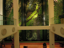 Mur Végétal, Düssmann KulturKaufhaus, Berlin, Janvier 2012