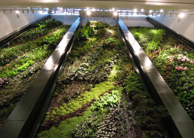 Mur Végétal, partie supérieure,  Düssmann KulturKaufhaus, Berlin, Janvier 2012