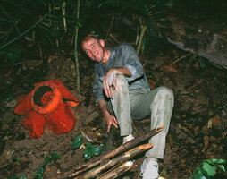 1999 - Patrick Blanc et Rafflesia kerrii, Khao Sok NP, Thailande, 31 Dec. 1999