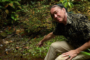 Patrick Blanc and Cryptocoryne x timahensis, 25 years after he did deposit the first specimens at the Singapore Botanic Gardens Herbarium in 1991, Bukit Timah NR, Singapore , Aug. 2016
