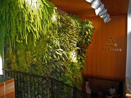 Six Senses, Paris,  ensemble