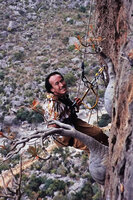 2005 - Patrick Blanc climbing to observe huge specimens of Dorstenia gigas in its vertical cliff habitat, Socotra, 2005