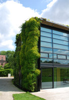 Maison végétale à Bruxelles, vue du jardin, Juin 2010
