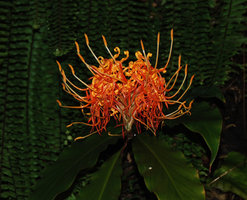 Naissance le 3 juin 1953 à la Clinique des Fleurs à Issy les Moulineaux
