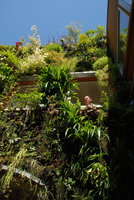 Pascal dans notre maison troglodyte