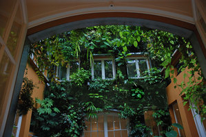 Patio, vu de porte-fenêtre