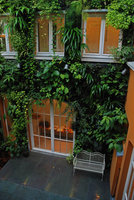 Patio, banc et Boehmeria