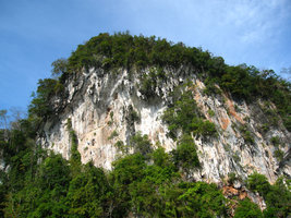 Karst et arbres, Phang Nga, Thailand